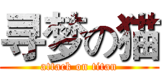 寻梦の猫 (attack on titan)