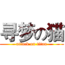 寻梦の猫 (attack on titan)