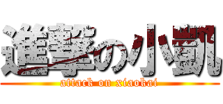進撃の小凱 (attack on xiaokai)