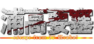 浦高要塞 (escape from 37 Urako　)