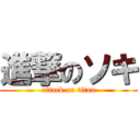 進撃のソキ (attack on titan)