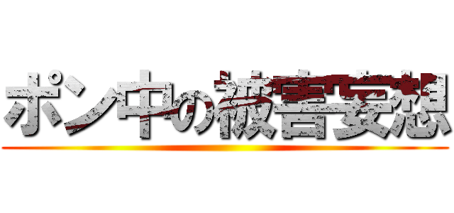 ポン中の被害妄想 ()