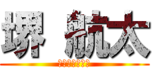 堺 航太 (サカイ　コウタ)