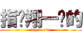 指导翔一样的 (big doubi)
