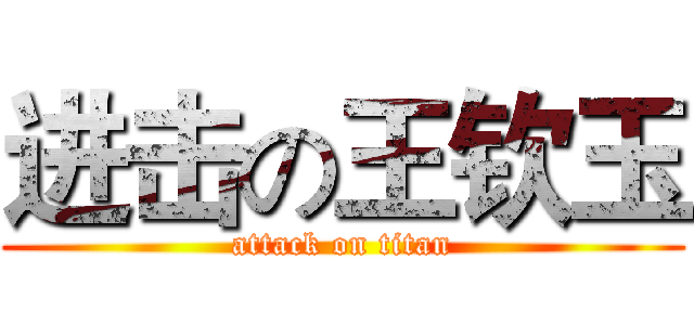 进击の王钦玉 (attack on titan)