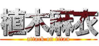 植木麻衣 (attack on titan)