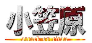 小笠原 (attack on titan)