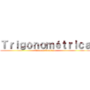 Ｔｒｉｇｏｎｏｍéｔｒｉｃａ (Números Complejos)
