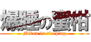 爆睡の蜜柑 (Mikan is sleeping)