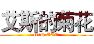 艾斯的菊花 (from ACE)