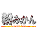 粉みかん (konami kan)