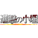 進擊の小埋 (干物妹！うまるちゃん)