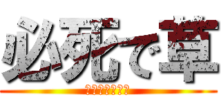 必死で草 (お前の負けやで)