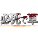 必死で草 (お前の負けやで)