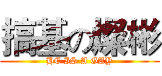 搞基の燦彬 (HE IS A GAY)