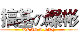 搞基の燦彬 (HE IS A GAY)