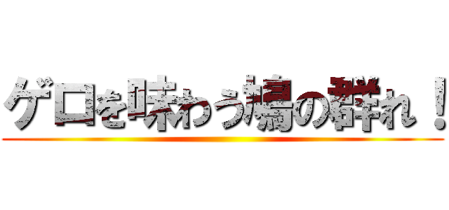 ゲロを味わう鳩の群れ！ ()