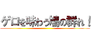 ゲロを味わう鳩の群れ！ ()