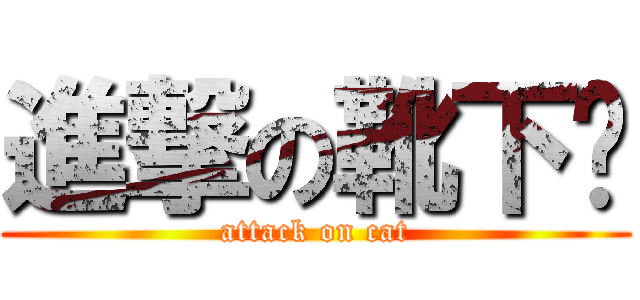 進撃の靴下貓 (attack on cat)