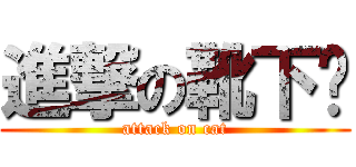 進撃の靴下貓 (attack on cat)
