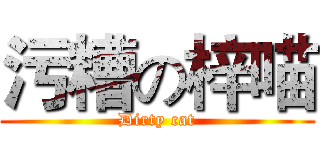 污糟の梓喵 (Dirty cat)