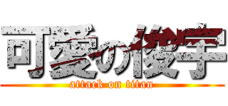 可愛の俊宇 (attack on titan)