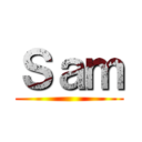 Ｓａｍ ()