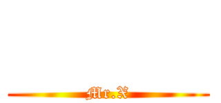       (Mr.X)