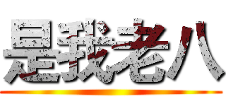 是我老八 ()