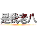 是我老八 ()