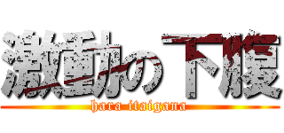 激動の下腹 (hara itaigana)