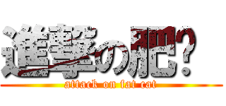 進撃の肥瞄  (attack on fat cat)