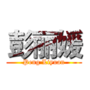 彭丽媛 (Peng Liyuan)