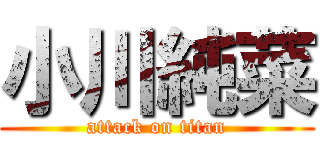 小川純菜 (attack on titan)