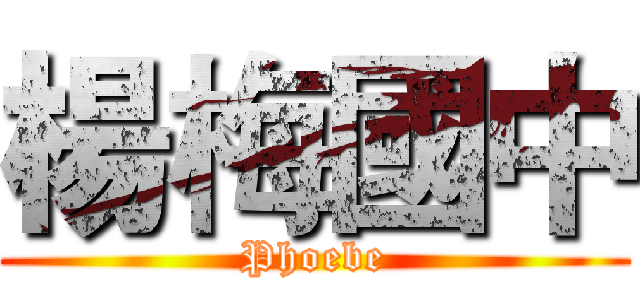 楊梅國中 (Phoebe)