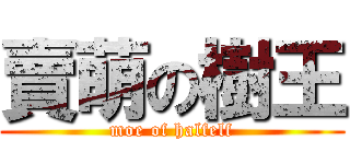 賣萌の樹王 (moe of halfelf)