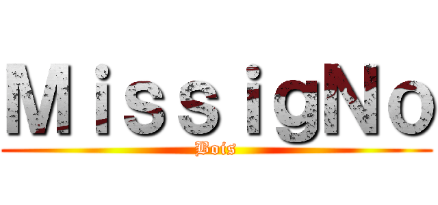 ＭｉｓｓｉｇＮｏ (Bois)