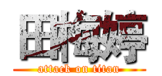 田梅婷 (attack on titan)