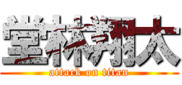 堂林翔太 (attack on titan)