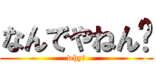 なんでやねん💥 (why?)