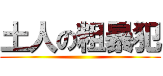 土人の粗暴犯 ()