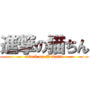 進撃の猫ちん (attack on Nekotin)