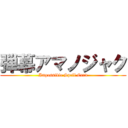 弾幕アマノジャク (Impossible Spell Card)