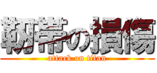靭帯の損傷 (attack on titan)