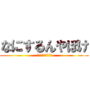 なにするんやぼけ (なにするんやぼけぇ)