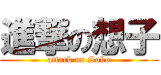進撃の想子 (attack on Soko)