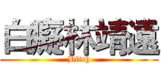 白癡林靖遠 (Bitch)