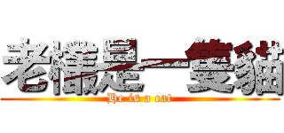 老欉是一隻貓 (He is a cat)