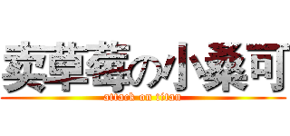 卖草莓の小桑可 (attack on titan)