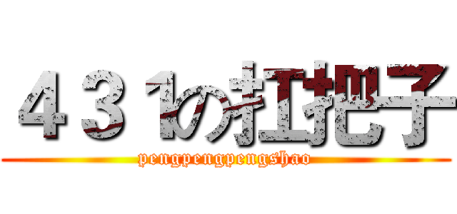 ４３１の扛把子 (pengpengpengshao)